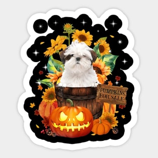 White Shih Tzu Halloween Pumpkin Fall Bucket Sticker